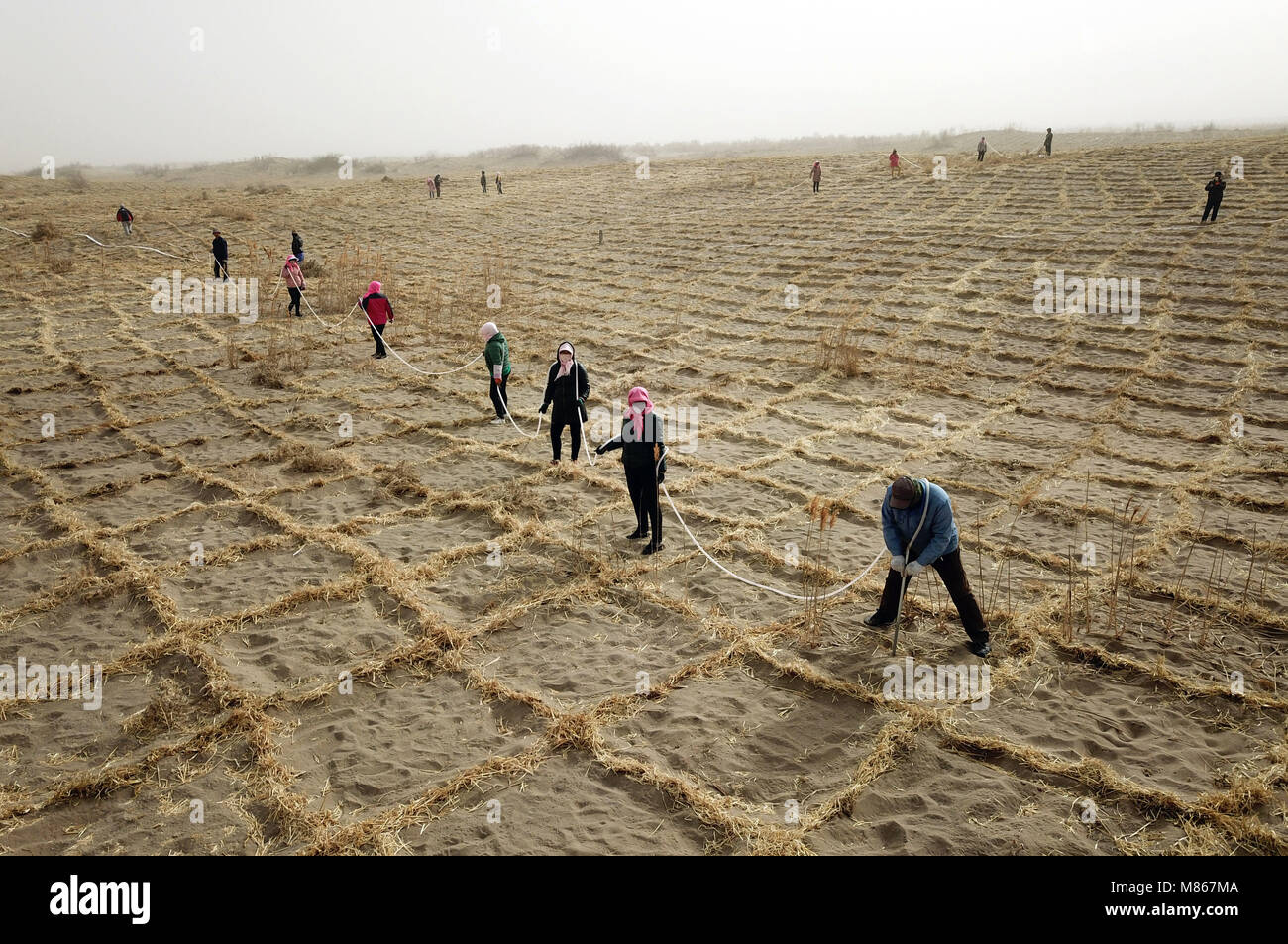 Linze, China's Gansu Province. 15th Mar, 2018. People water trees in Linze County, northwest China's Gansu Province, March 15, 2018. Trees are planted in desert area in Linze County, to prevent sandstorm and improve ecosystem. Credit: Fan Peishen/Xinhua/Alamy Live News Stock Photo