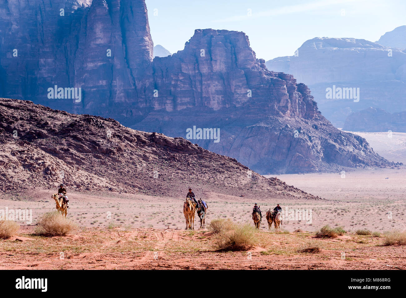 Bédouins with camels in front of the impressive blue mountain ridge in Wadi Rum,Jordan. Stock Photo