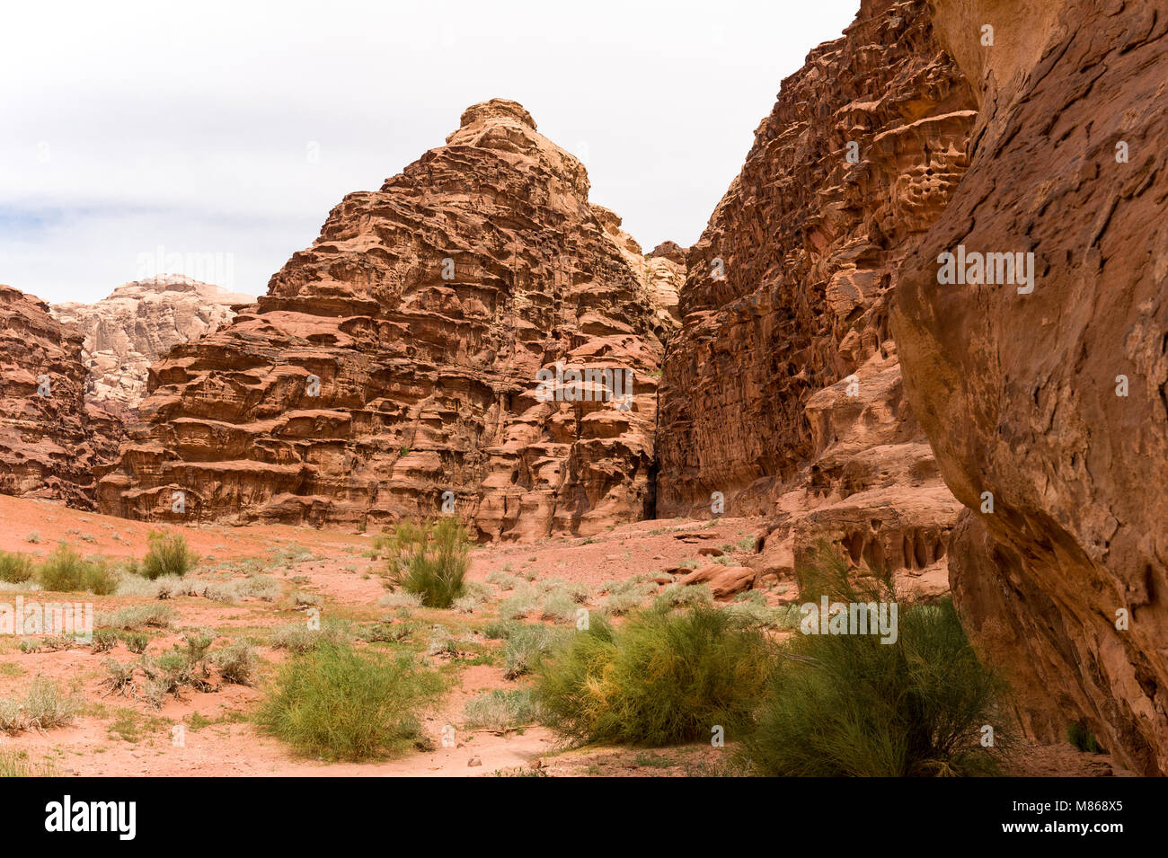 Wadi Rum , The Valley of the Moon, is a valley cut into the sandstone and granite rock in southern Jordan. It is the largest wadi in Jordan. Stock Photo