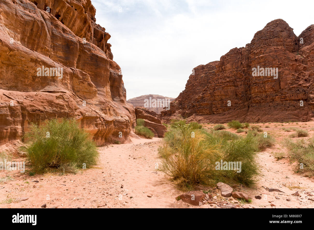 Wadi Rum , The Valley of the Moon, is a valley cut into the sandstone and granite rock in southern Jordan. It is the largest wadi in Jordan. Stock Photo