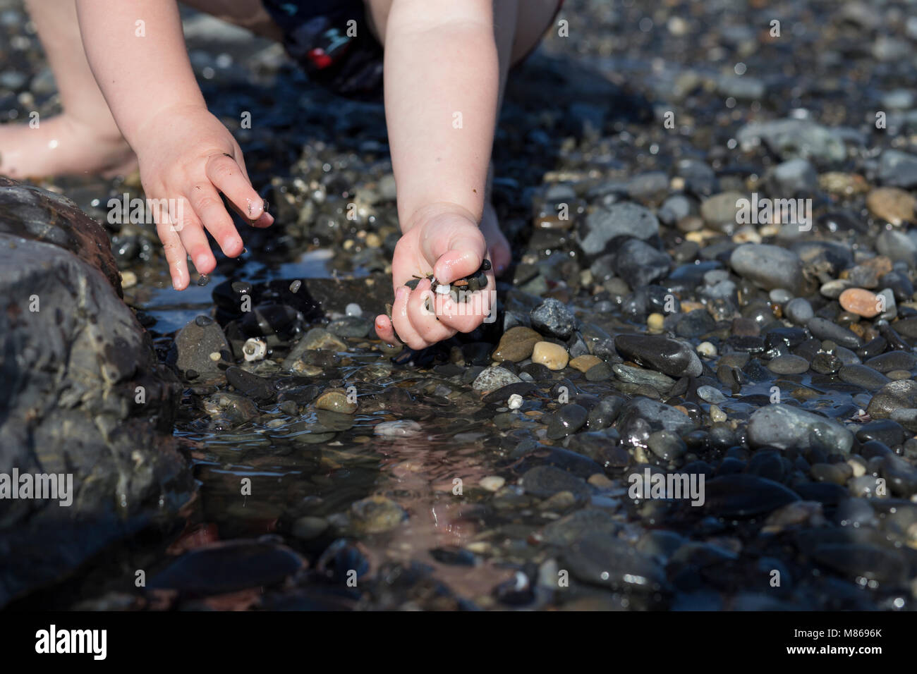 Little Girl Exploring  the Beach on a Sunny Summer Day in Kennebunkport, Maine Stock Photo