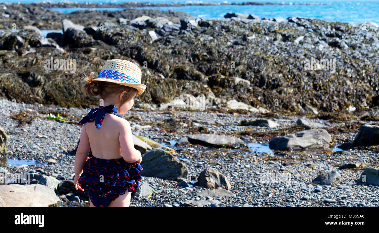 Little Girl Exploring  the Beach on a Sunny Summer Day in Kennebunkport, Maine Stock Photo