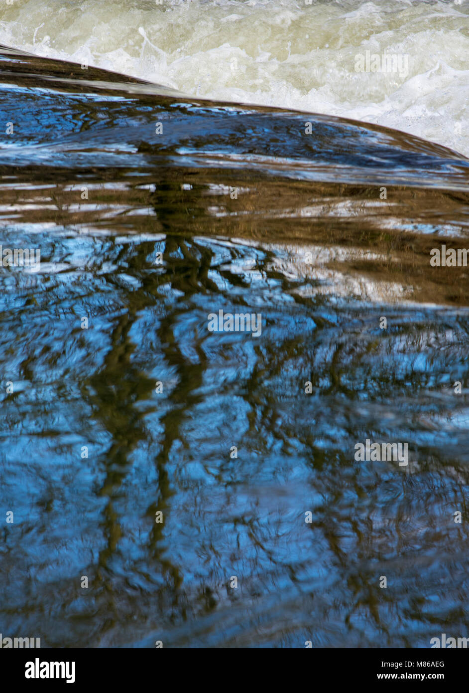 Tree reflected in river water Stock Photo - Alamy