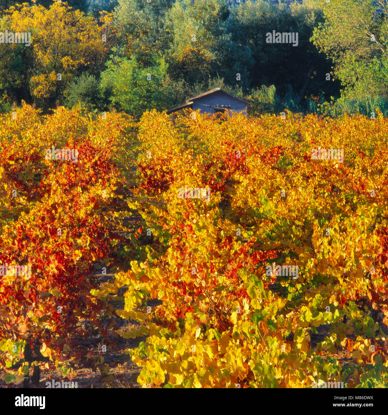 Silverado ranch hires stock photography and images Alamy
