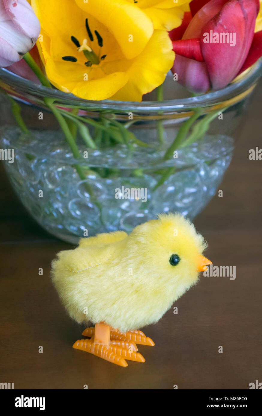 Toy baby chicken, vase, and flowers, 2017. Stock Photo