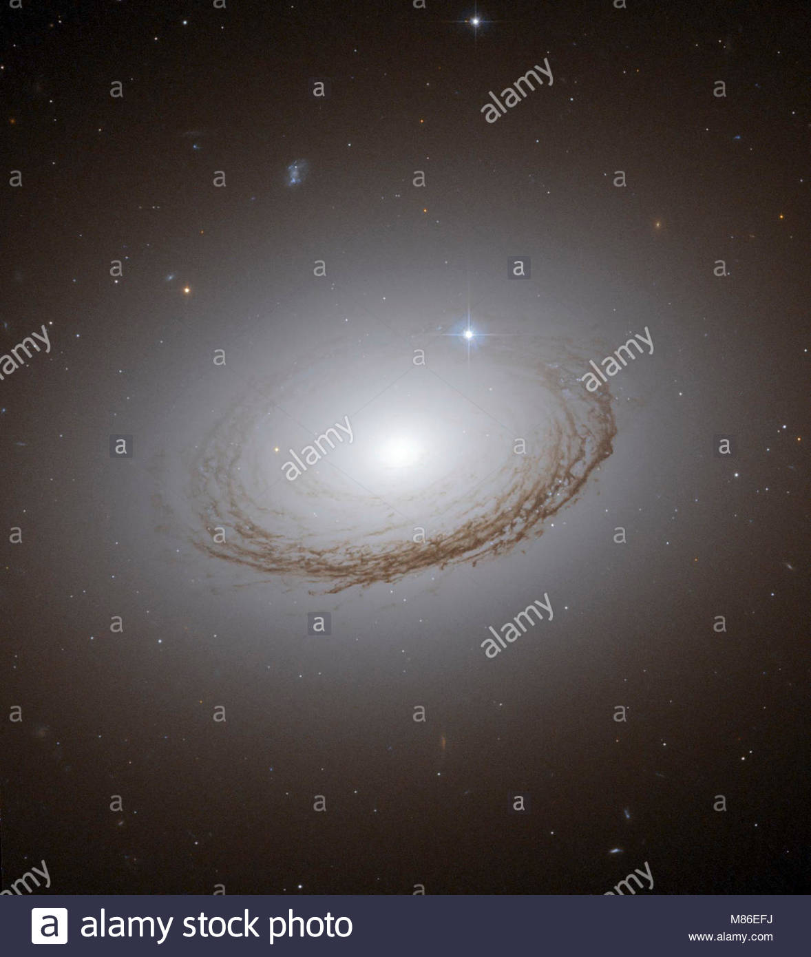 NGC ... Clusters and New General Nebulae The Catalogue 7049. of Nebulae Catalogue and ... NGC New 7049. General The Clusters of
