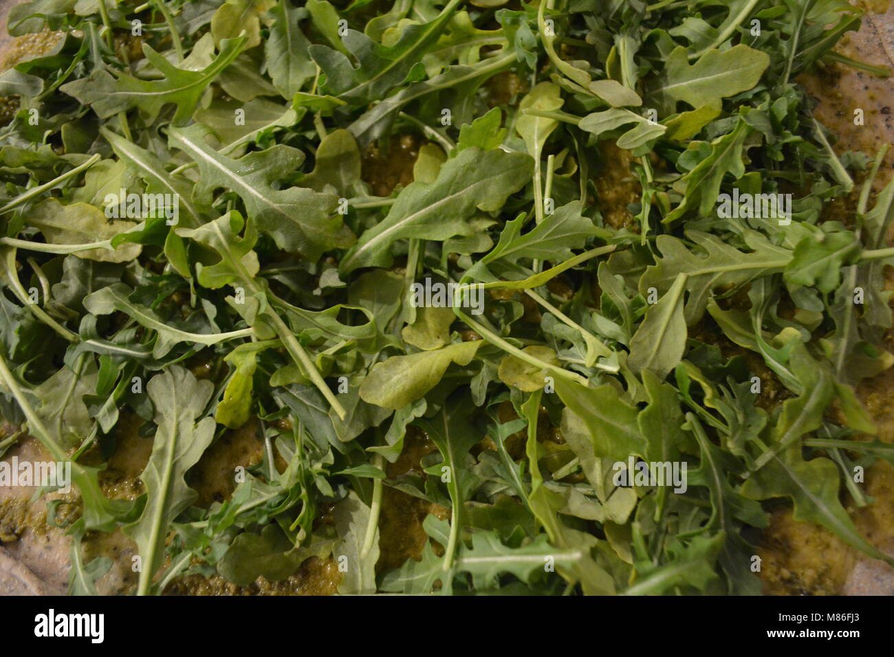 Fresh Spring Mix Arugula Green Leaf Texture Stock Photo