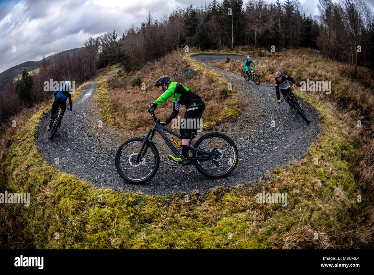 coed y brenin mountain bike trails
