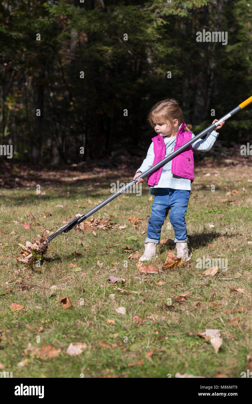 Toddler girl learning to rake leaves on a cool autumn day in Maine Stock Photo