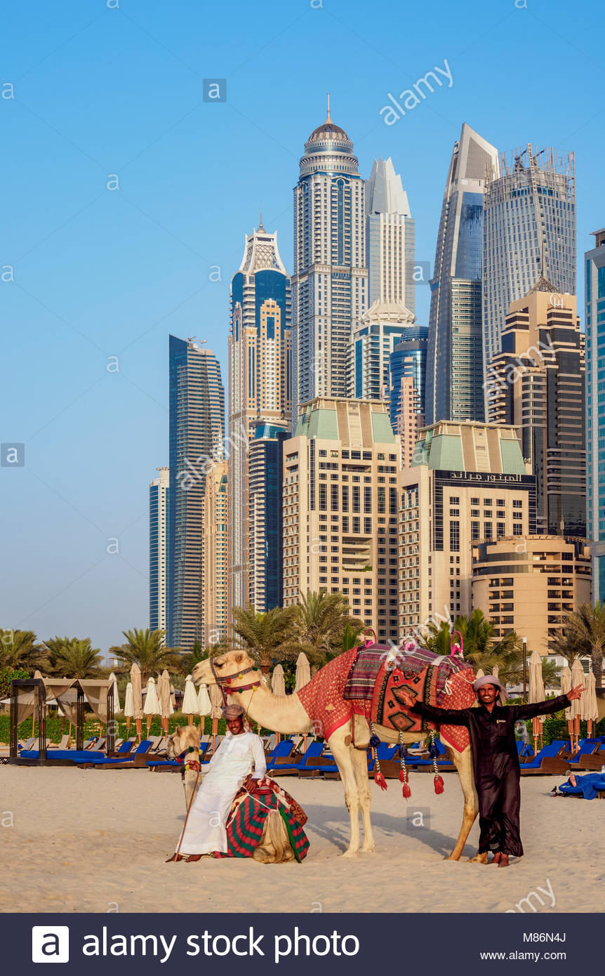 Camel Ride On The Dubai Marina Jbr Beach Dubai United Arab