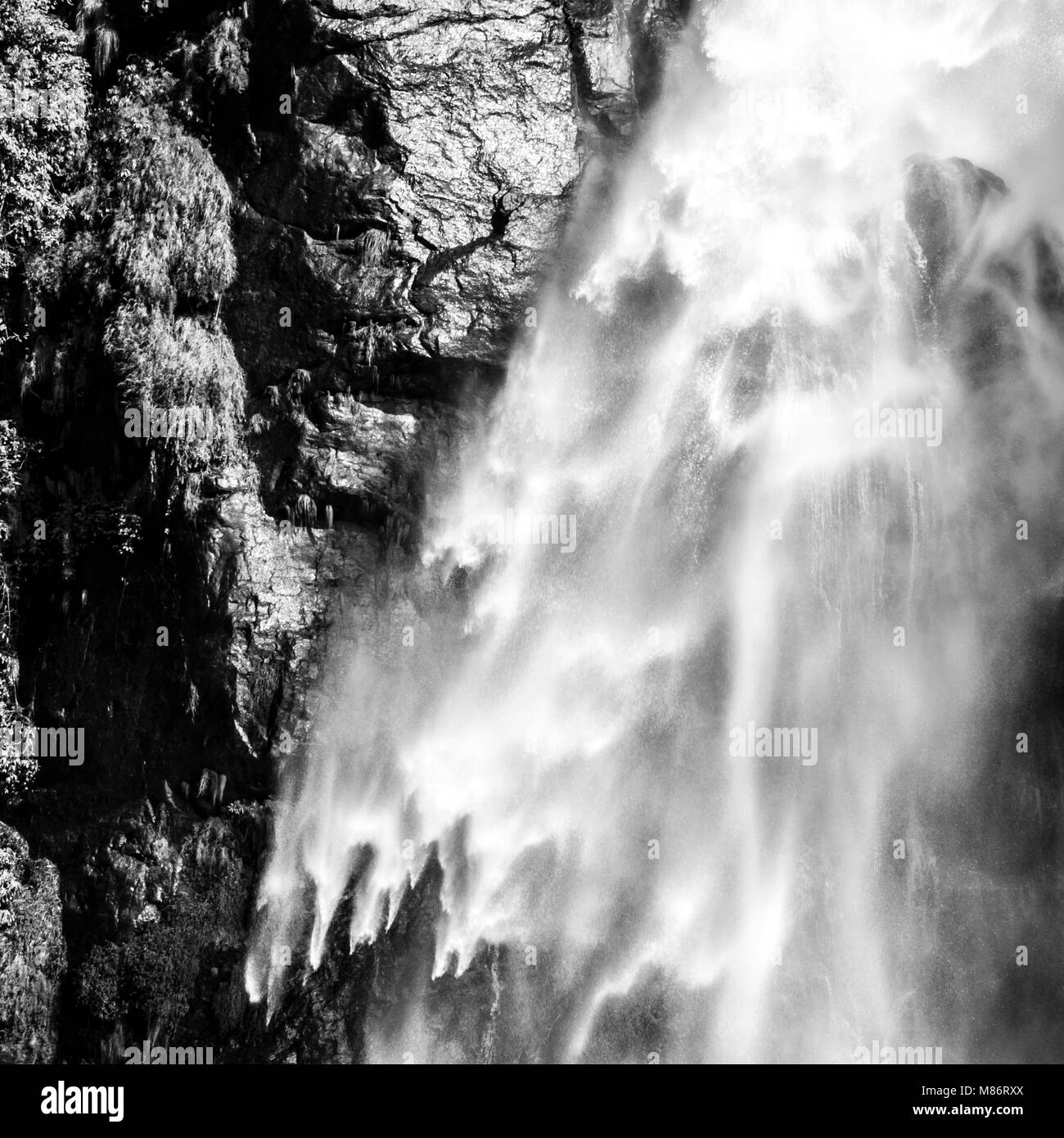 Falling Water Black And White Square Abstract Nature