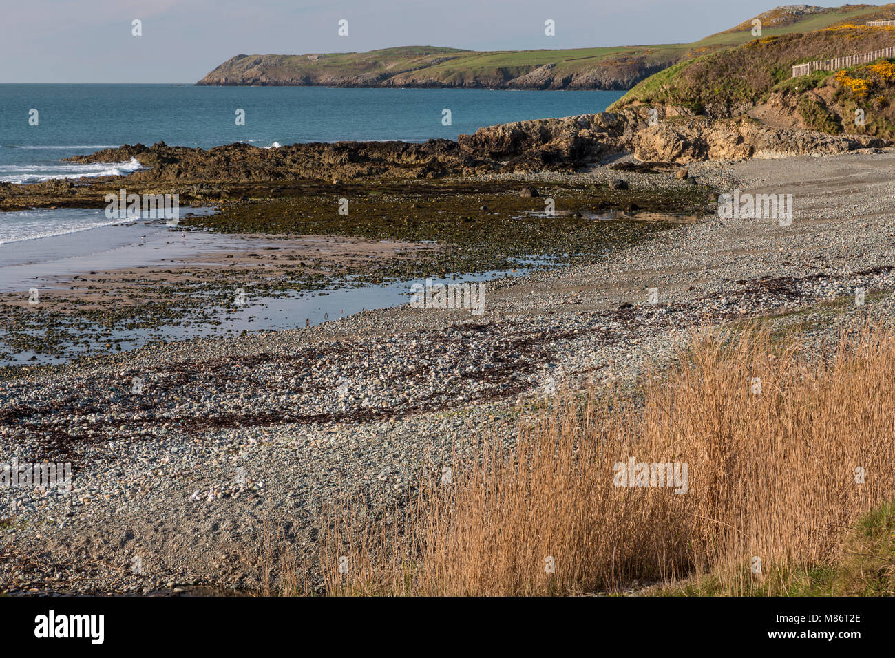 Pebble beach at Porth Trwyn, Anglesey, North Wales Stock Photo