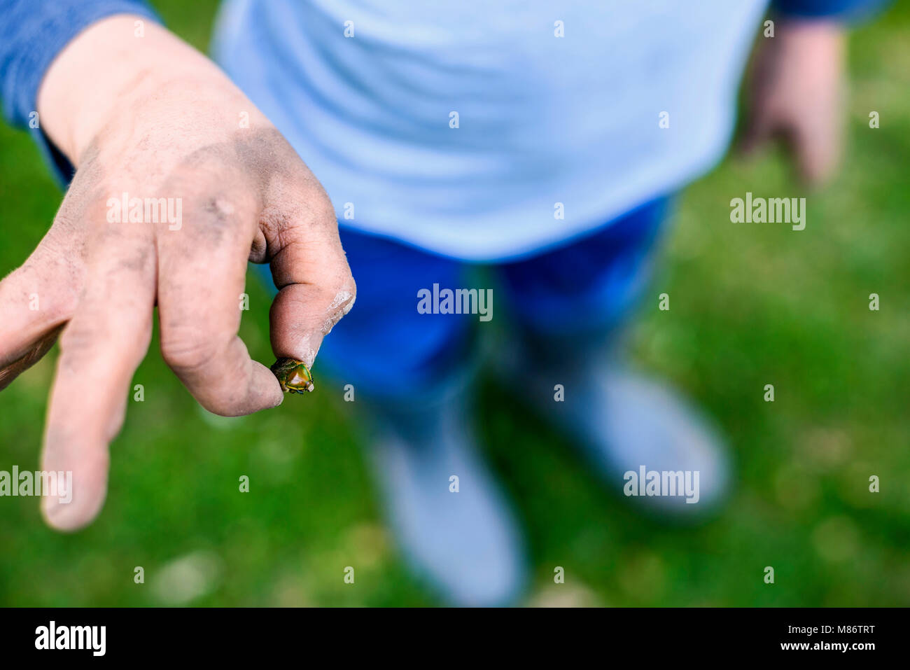 Close-up of a boy holding a bug Stock Photo