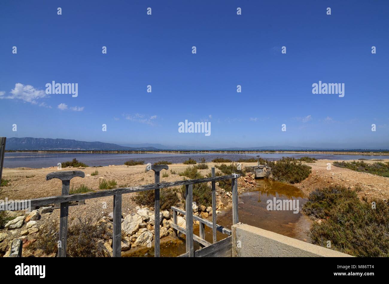 The landscape of the ebro river nature reserve. It is possible to