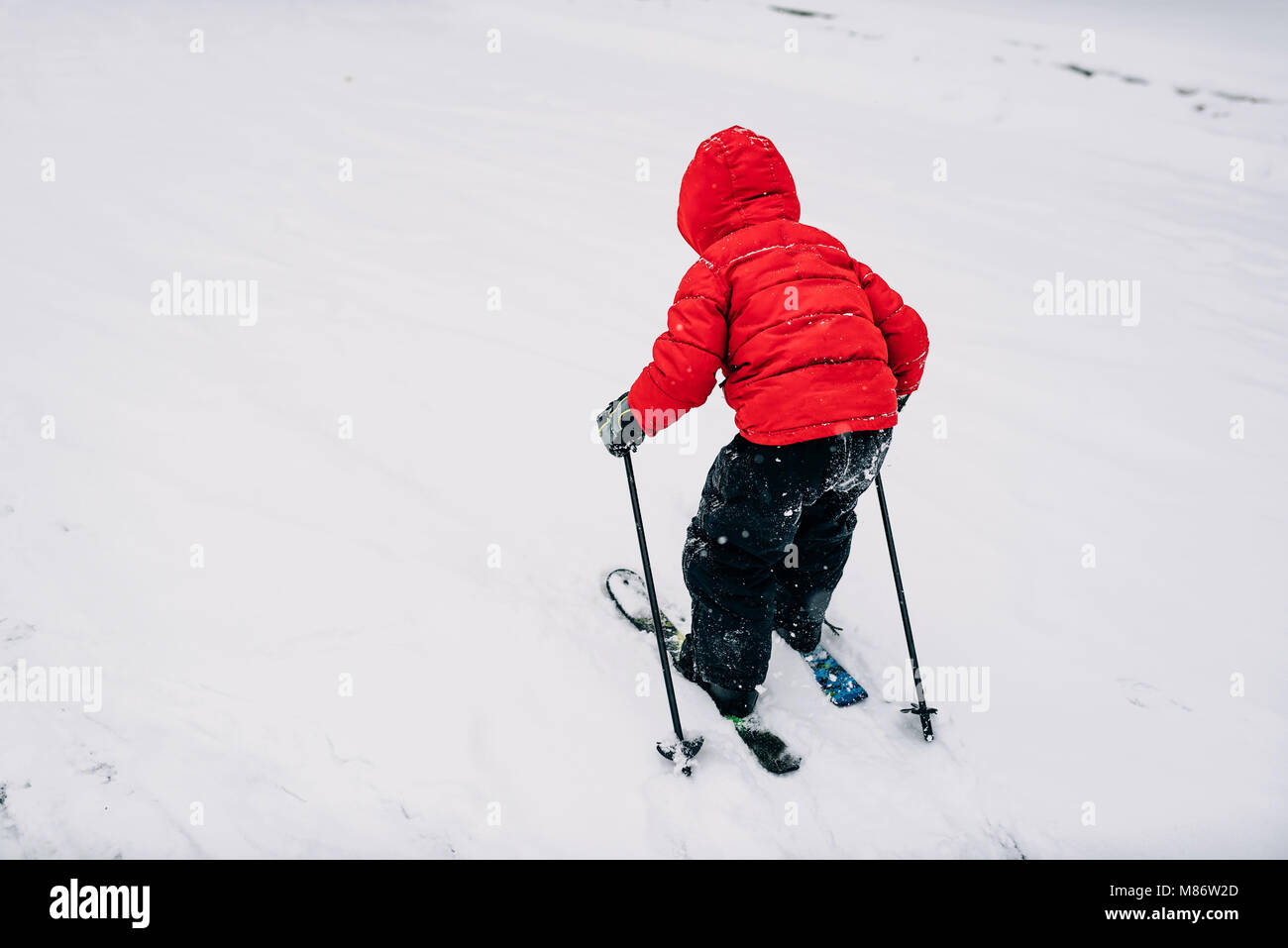 Rear view of a Boy skiing Stock Photo - Alamy