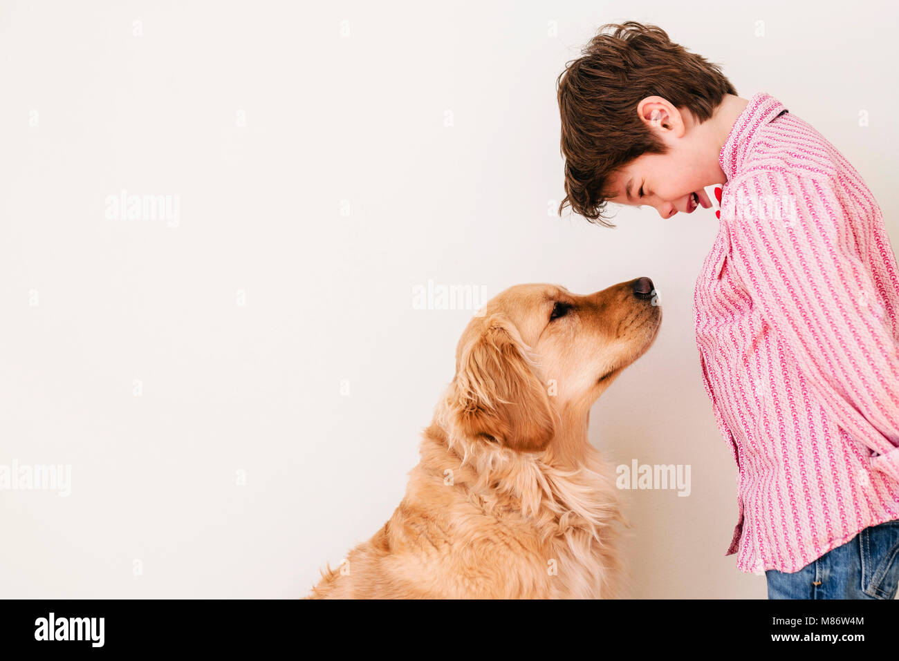 Boy looking at his golden retriever dog Stock Photo