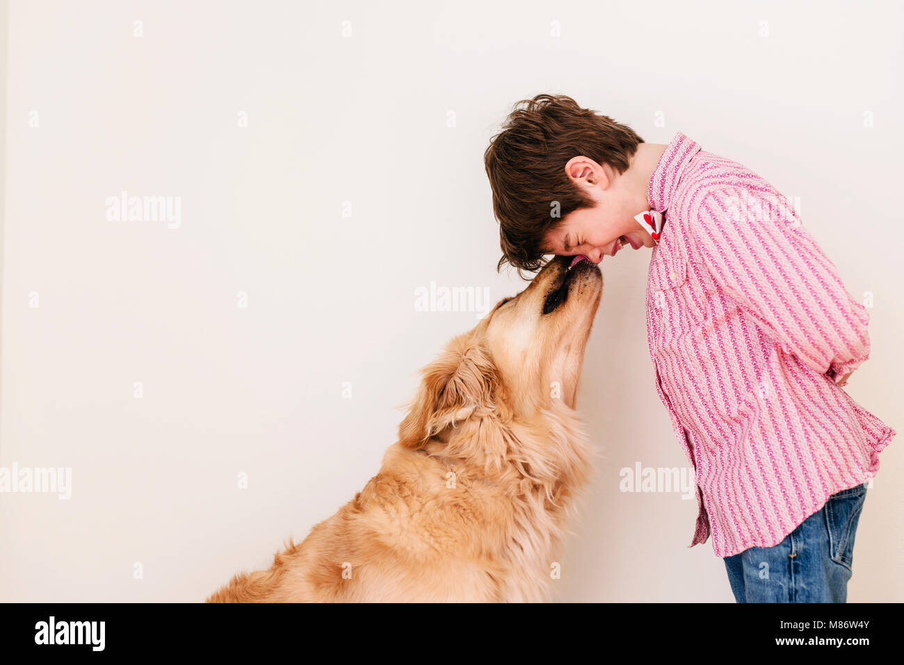 Golden retriever dog licking a boy's face Stock Photo