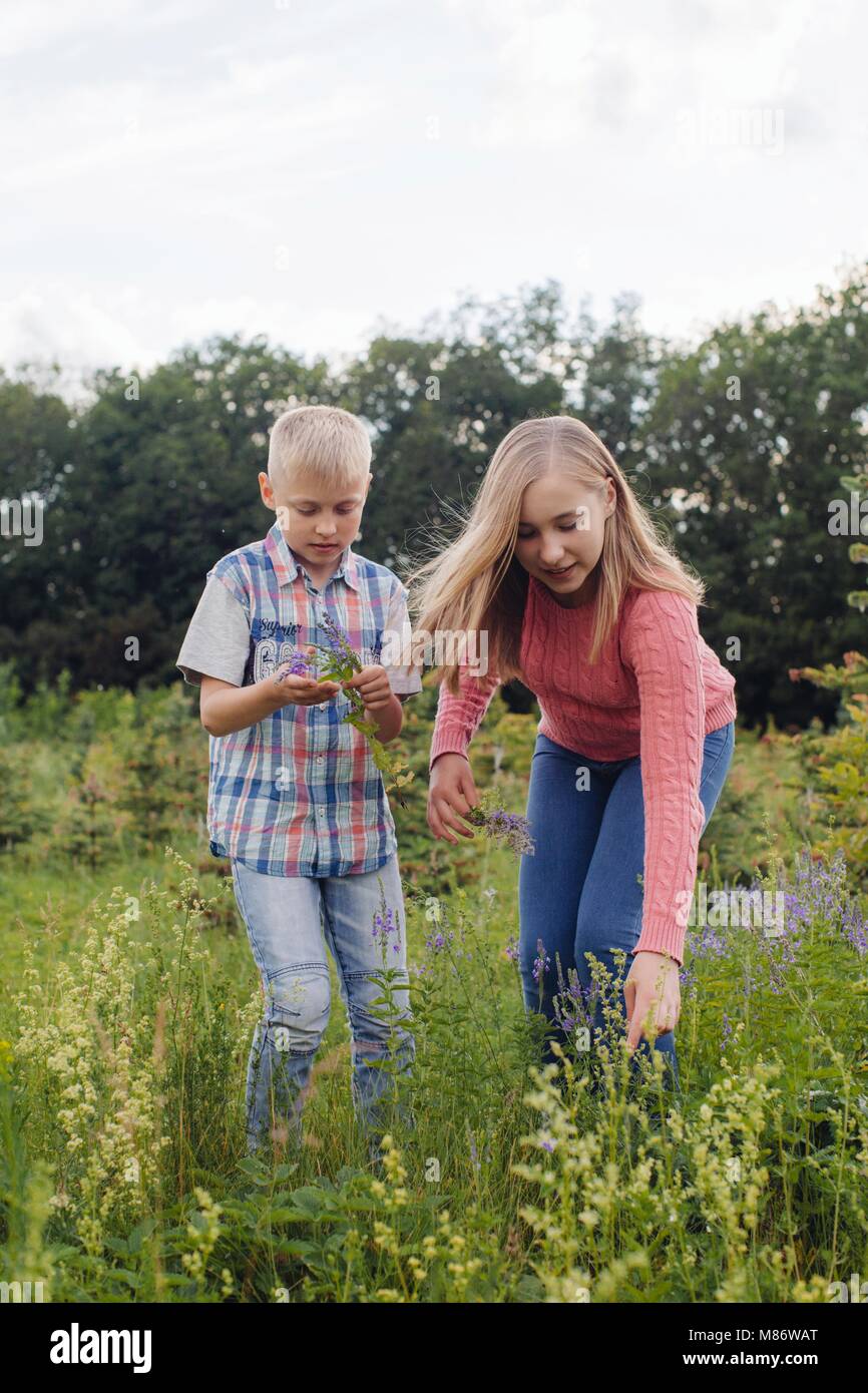 Girl and a boy picking flowers in a meadow Stock Photo