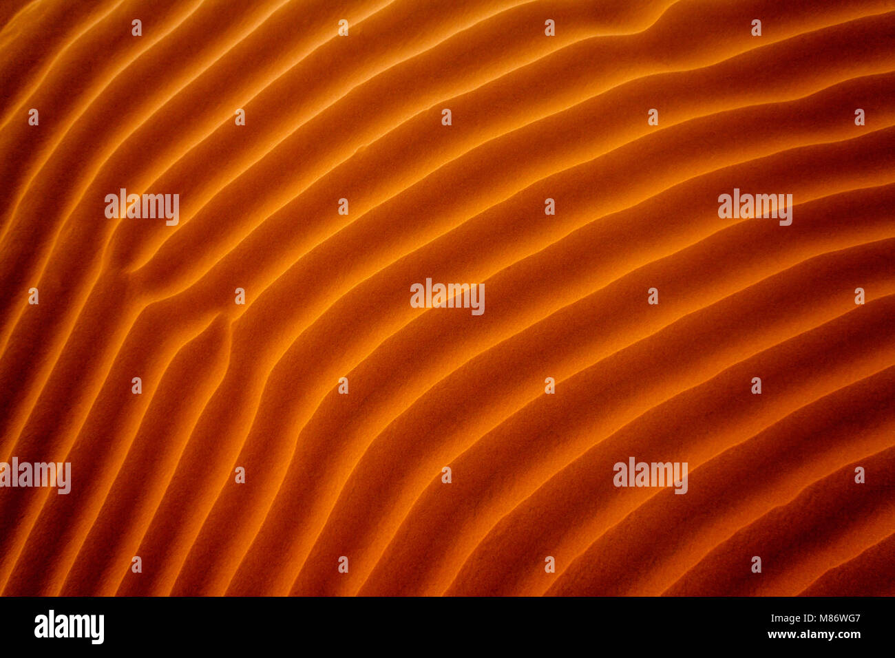 Close-up of ripples in the sand, Riyadh, Saudi Arabia Stock Photo