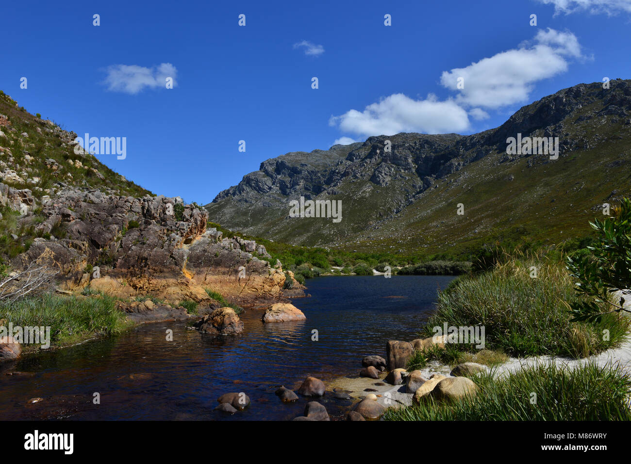 Kogelberg Nature Reserve, Cape Town, South Africa Stock Photo