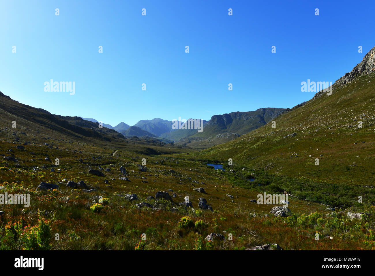 Kogelberg Nature Reserve, Cape Town, South Africa Stock Photo