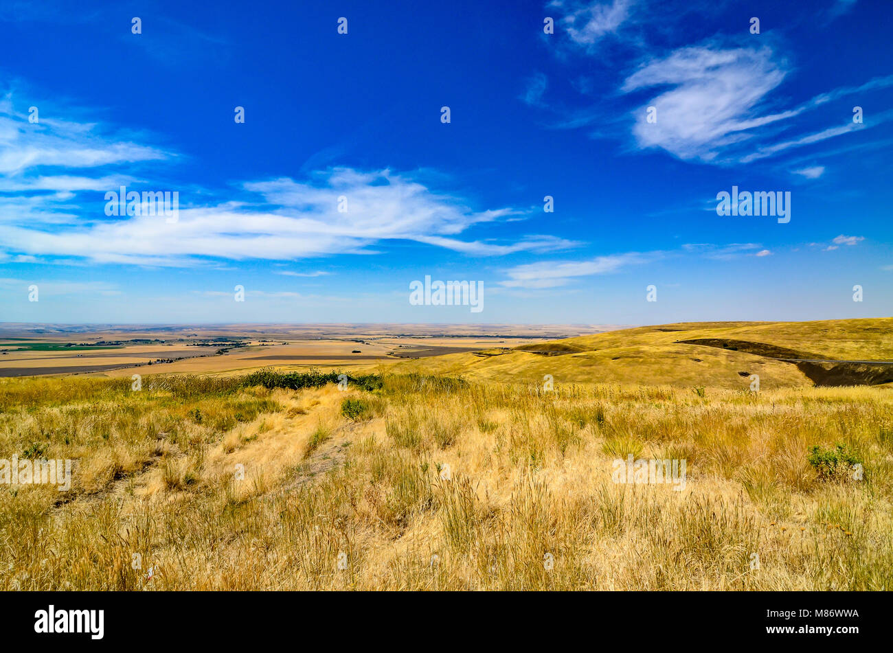 Rural landscape, Alberta, Canada Stock Photo