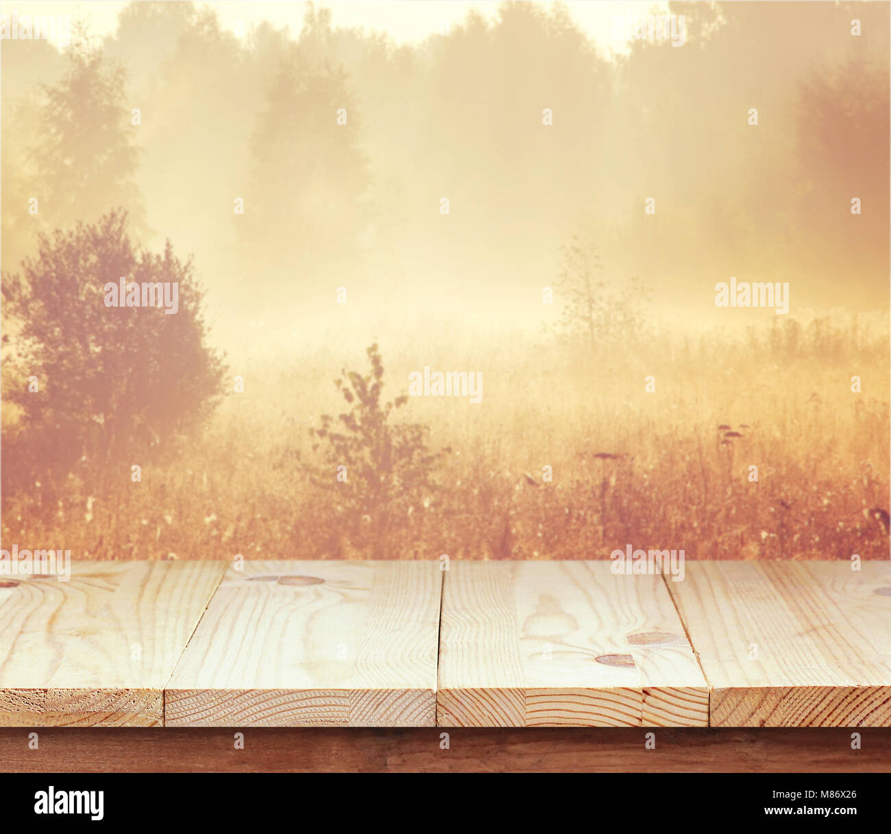 Wood table top on blur gold background of trees in the woods, can be ...