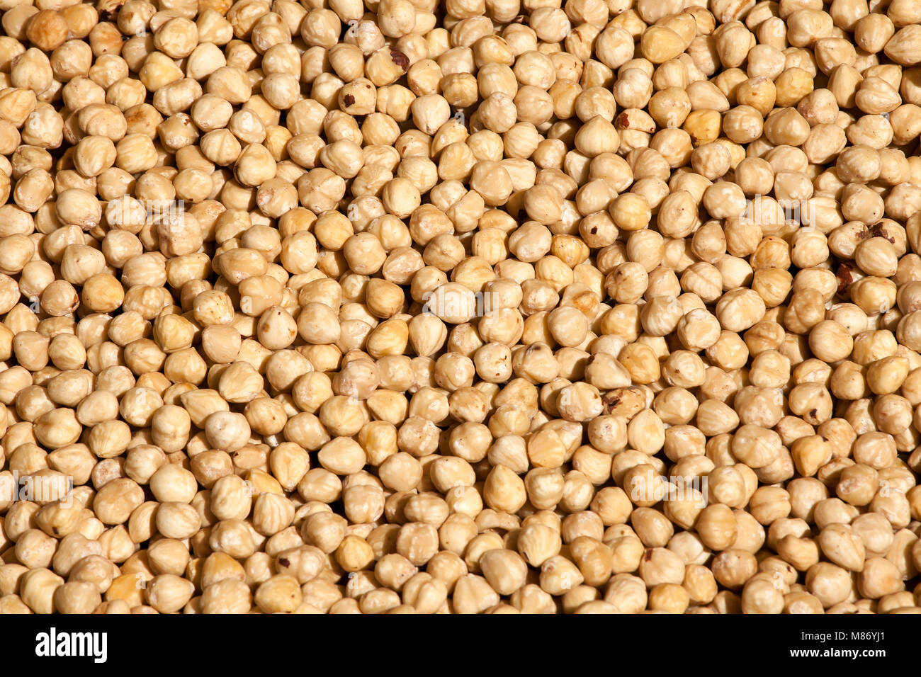the Cicer arietinum is scientific name of Chickpeas legume. Also known as Garbanzo bean, Chick