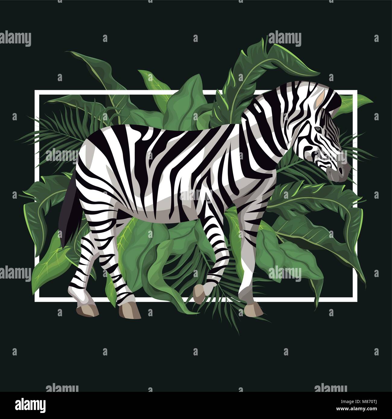 Zebra with leaves around vector illustration graphic design Stock ...