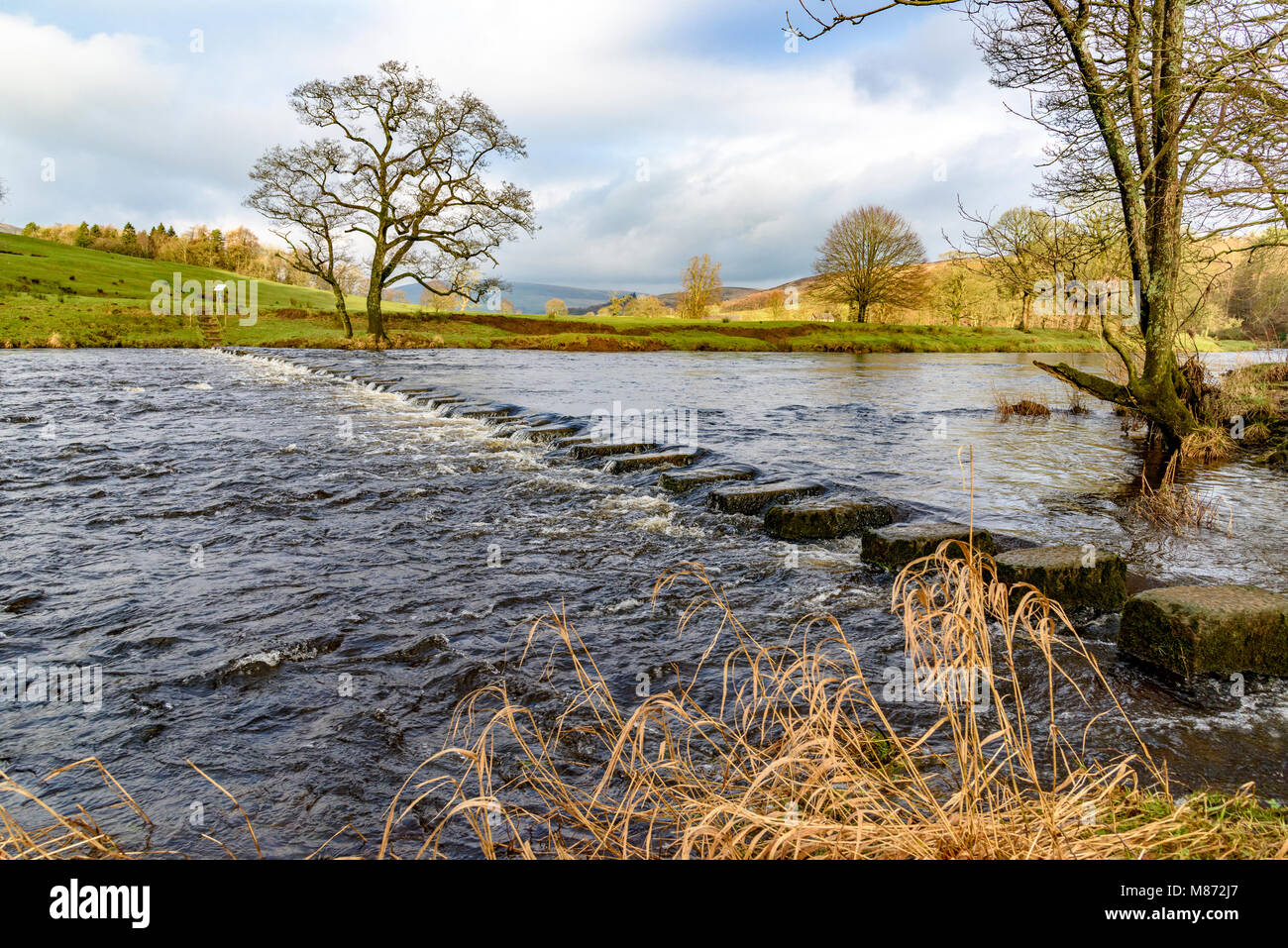 Steppiong hi-res stock photography and images - Alamy