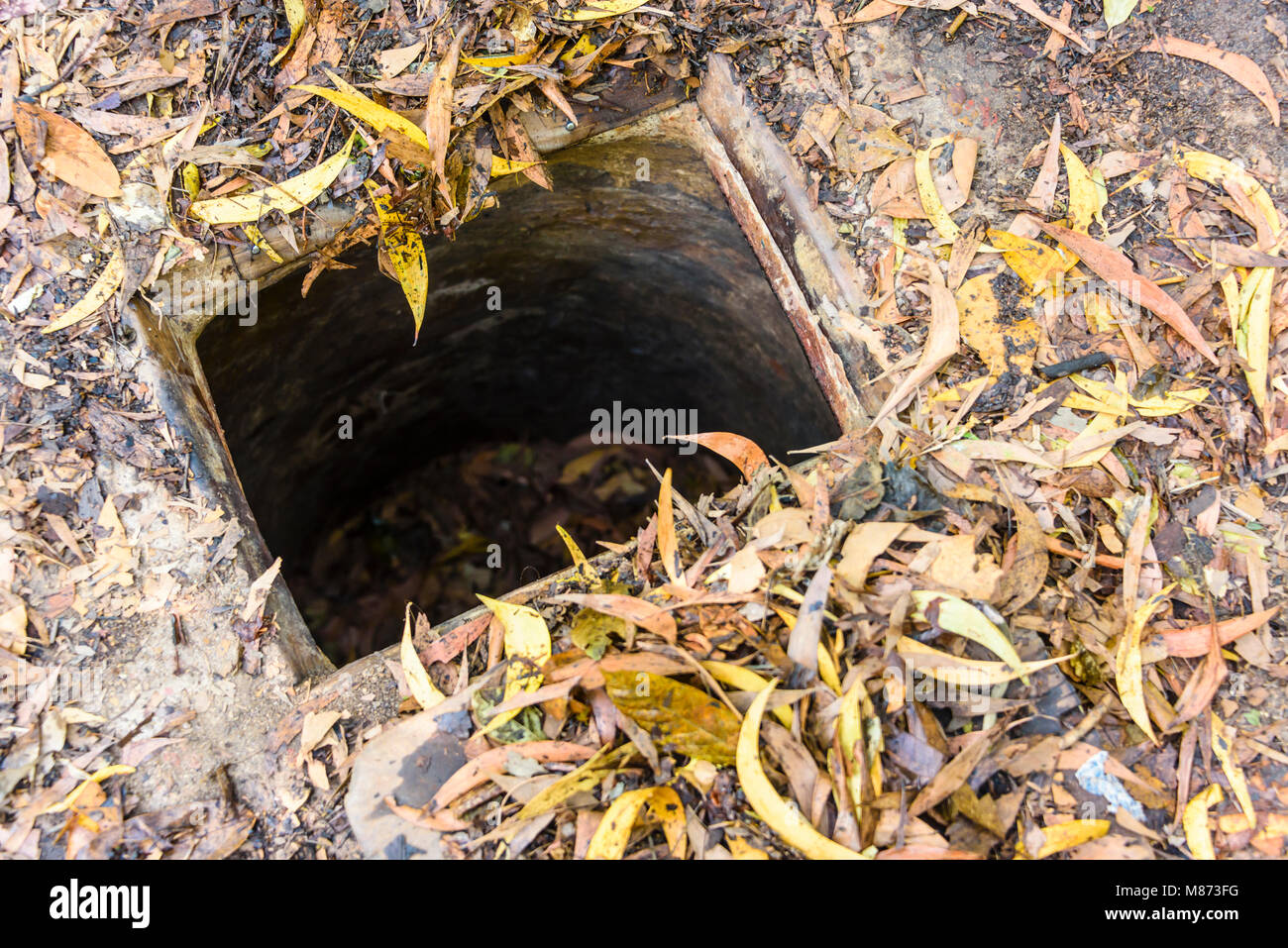 Entrance hole to the Chi Chu tunnels, Vietnam Stock Photo Alamy