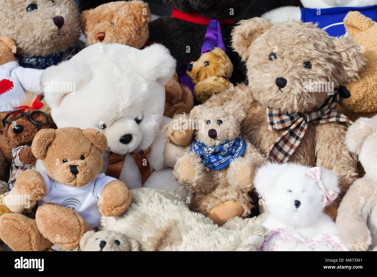 A lot of on sale teddy bears