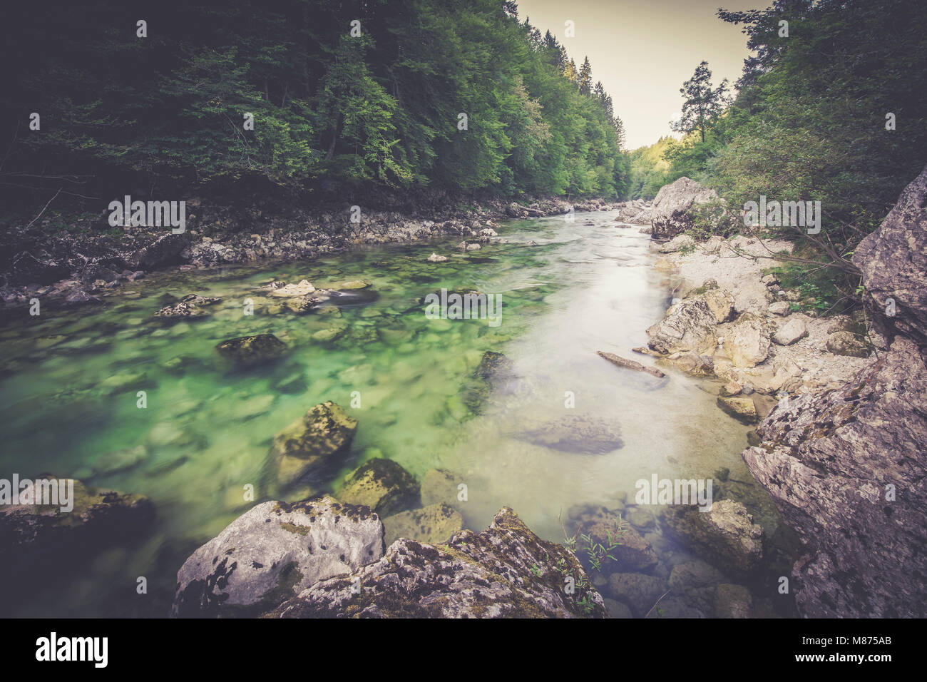 Mountain river in the green forest Stock Photo - Alamy