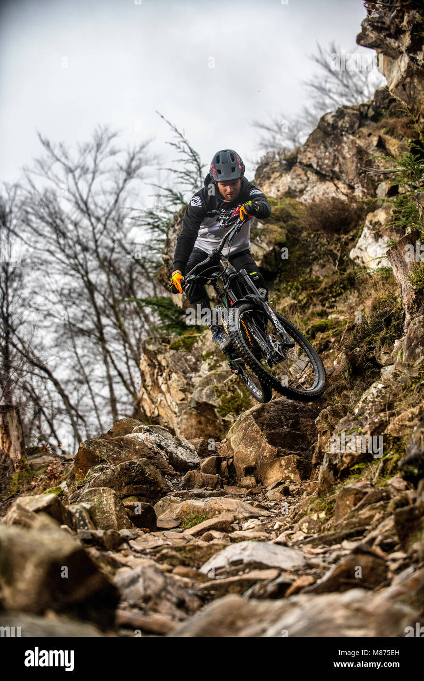 coed y brenin mountain biking