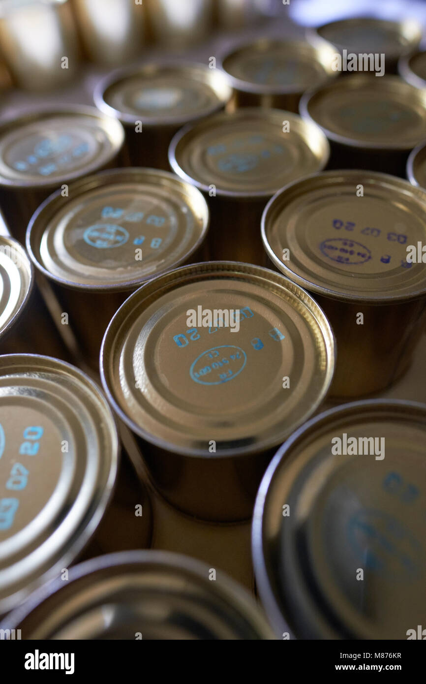Canned food production Stock Photo Alamy