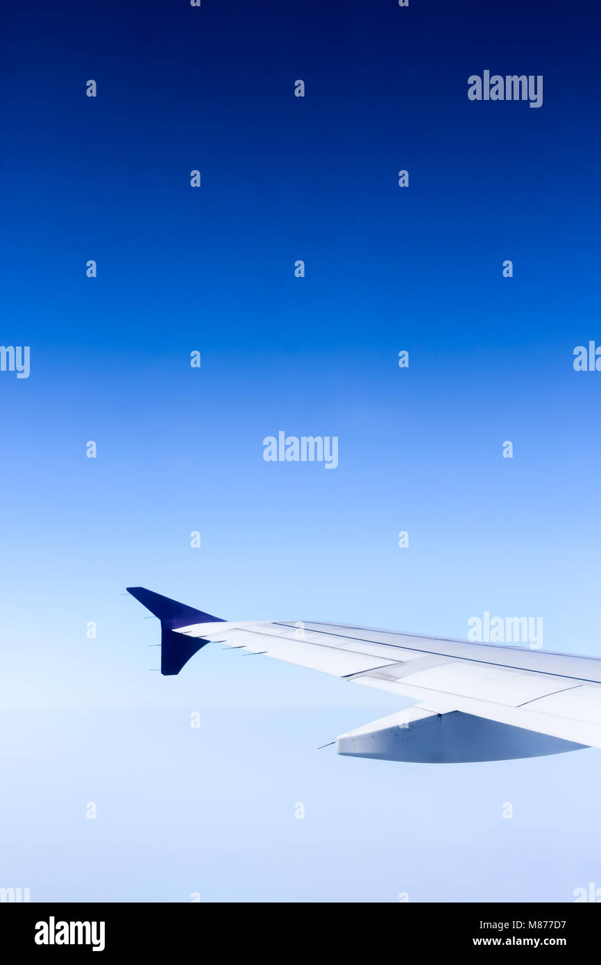 On flight, in the blue sky background, clear sky Stock Photo