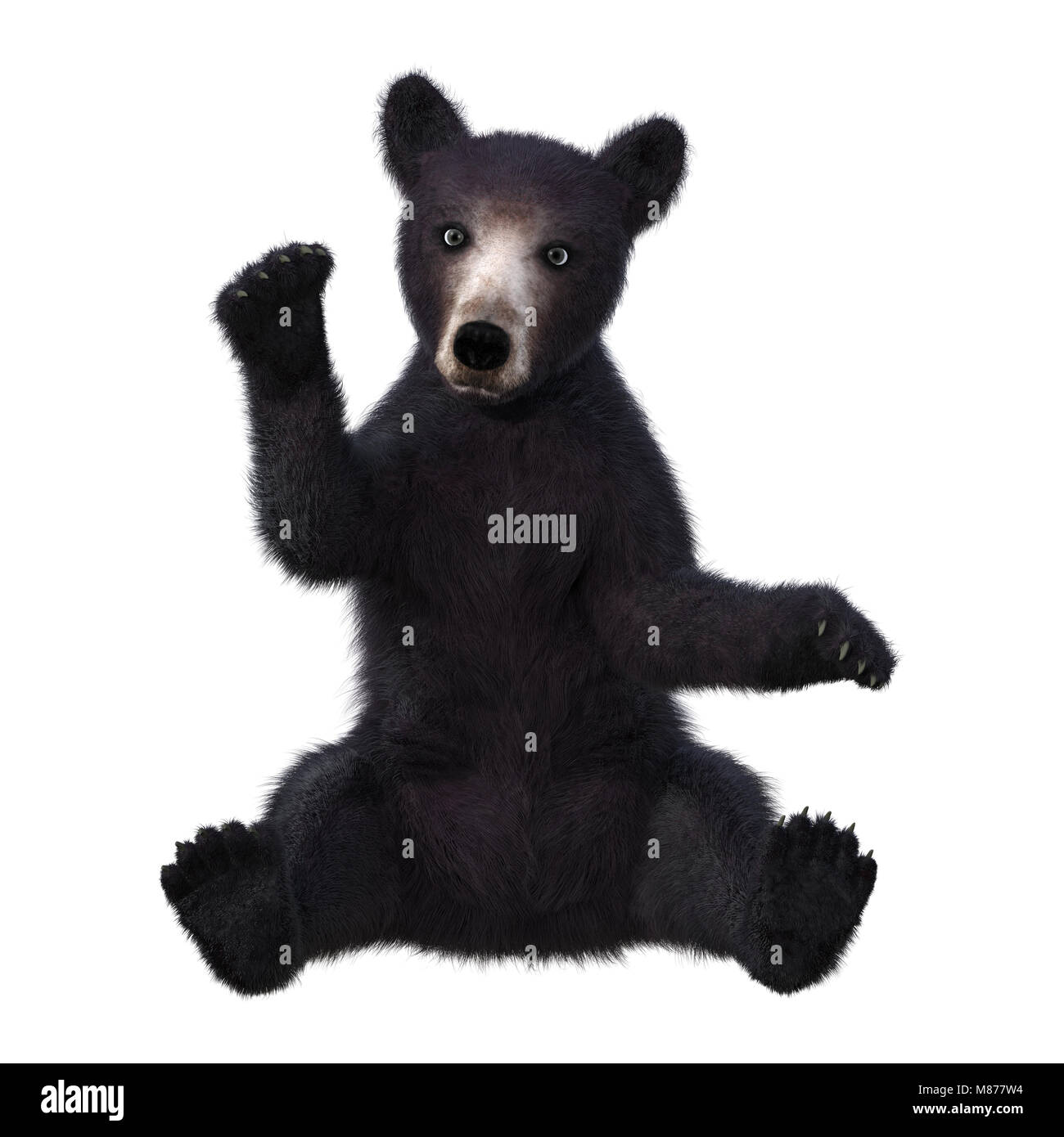 3D rendering of a black bear cub isolated on white background Stock ...
