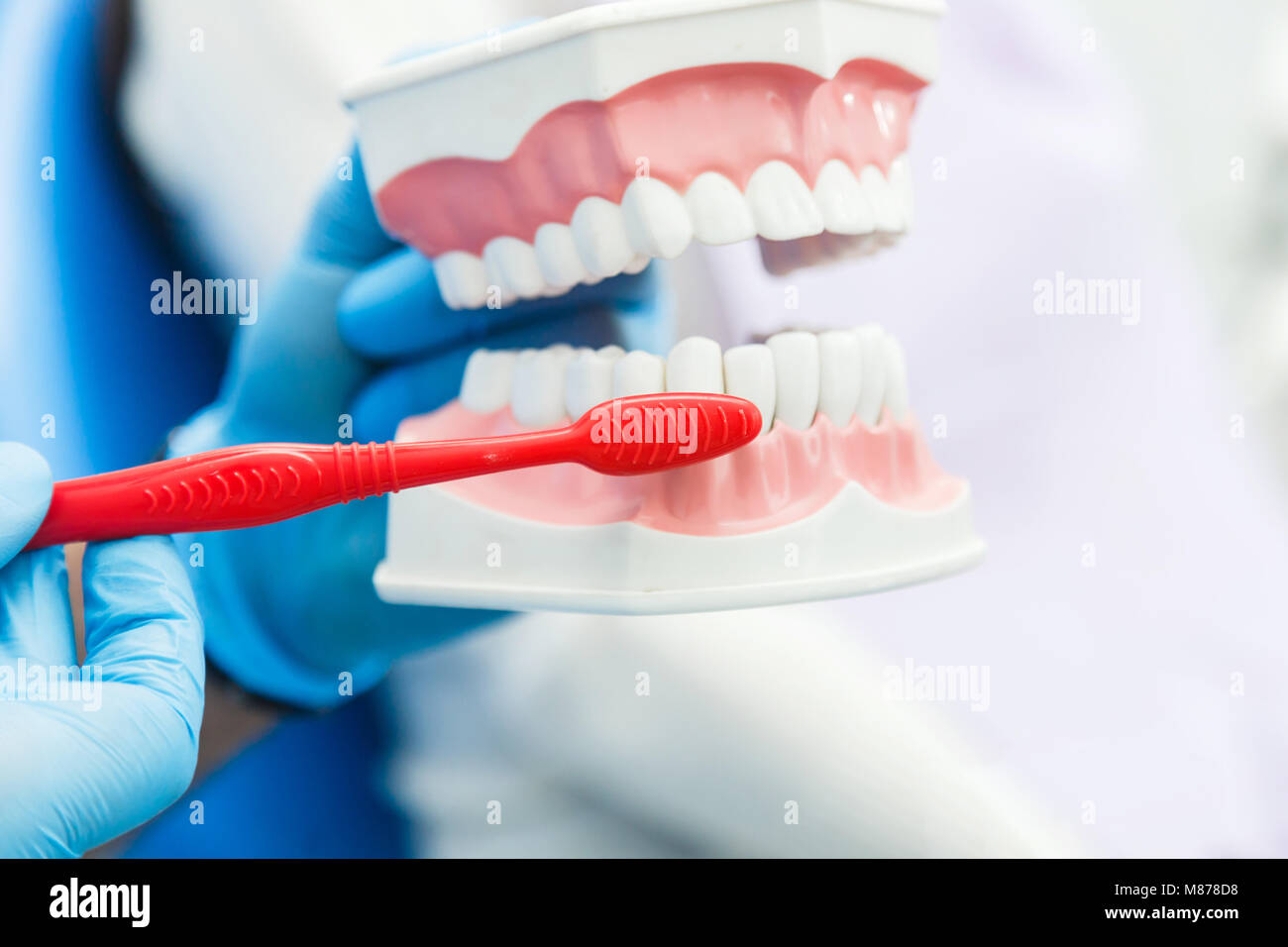 Dentist Shows How to Clean Teeth Stock Photo Alamy