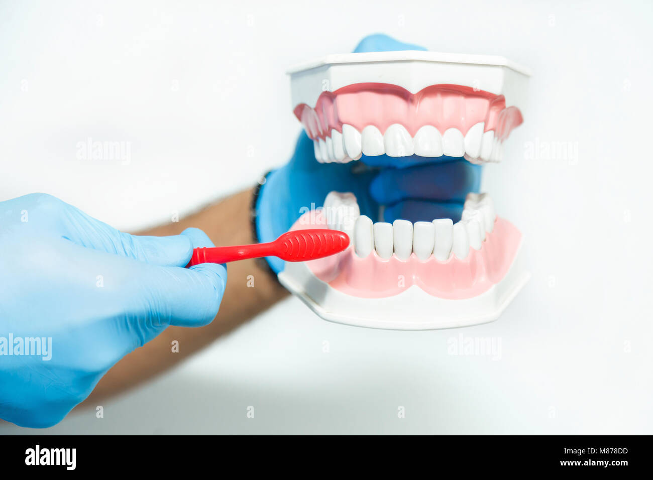 Dentist Shows How to Clean Teeth Stock Photo Alamy