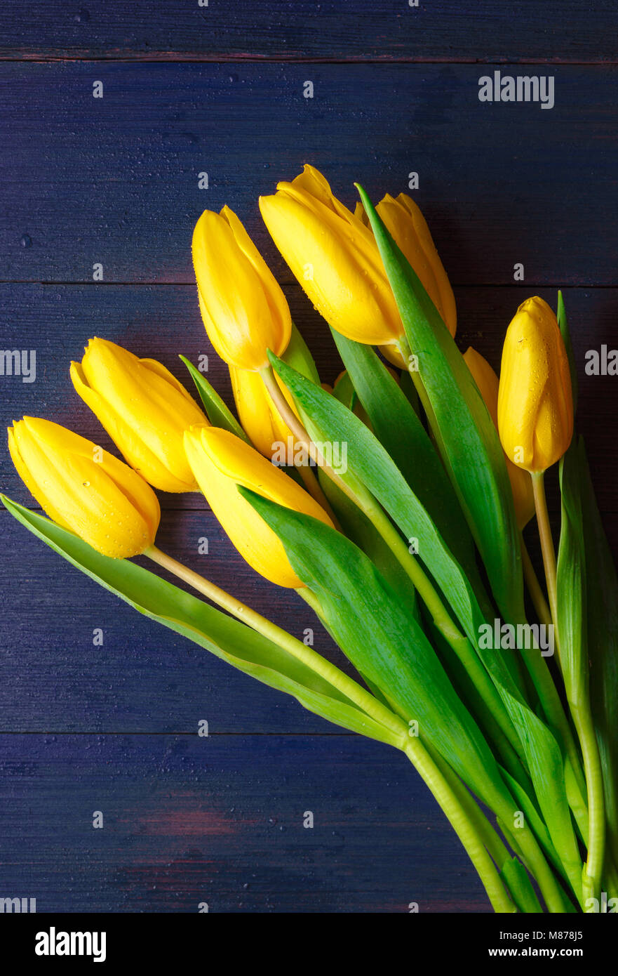 Bunch of Yellow Tulips on Deep Purple Wooden Surface Stock Photo - Alamy