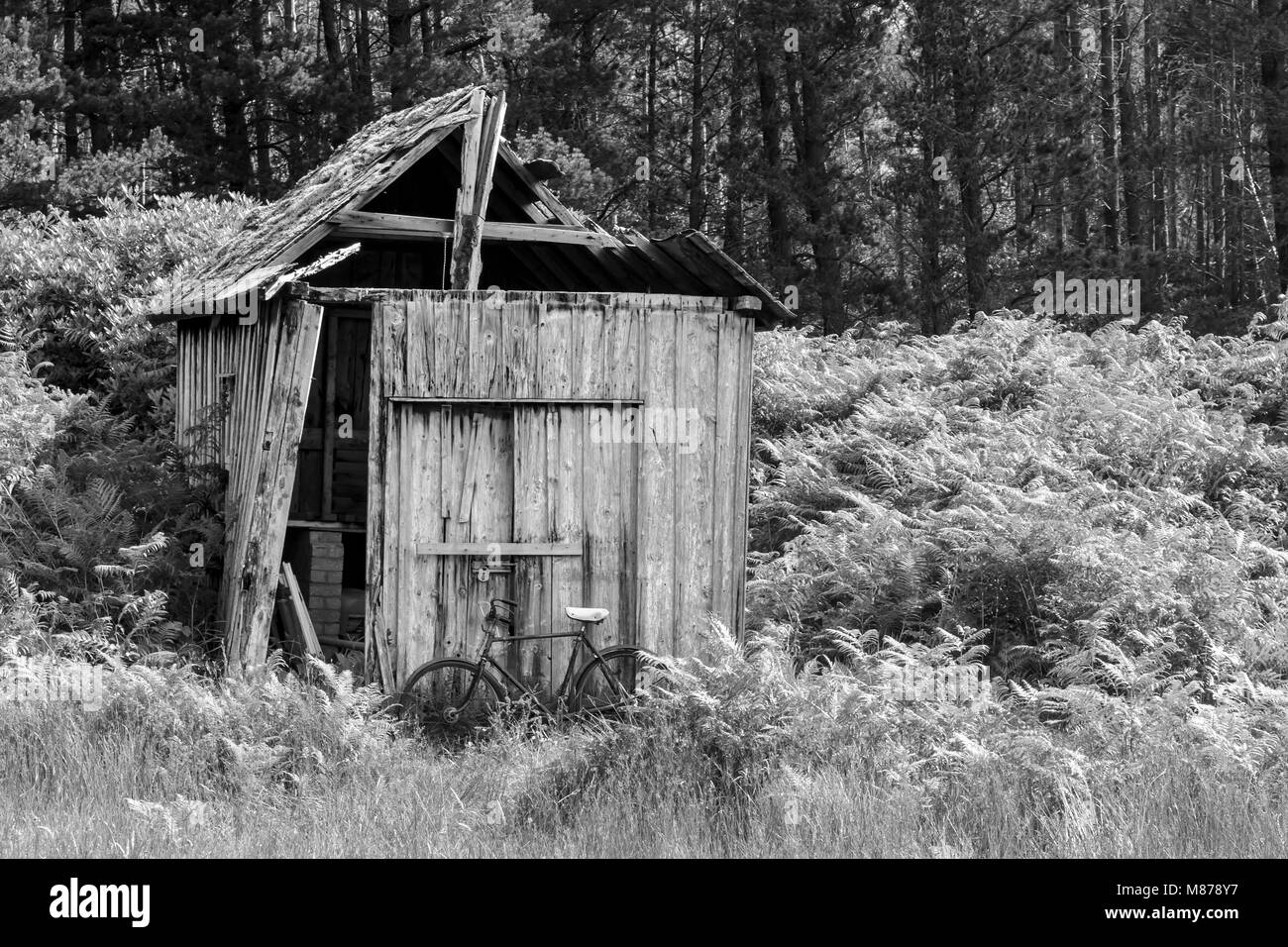 Black and White image of a derelict wooden shed with old bicycle leaning  up by the door Stock Photo