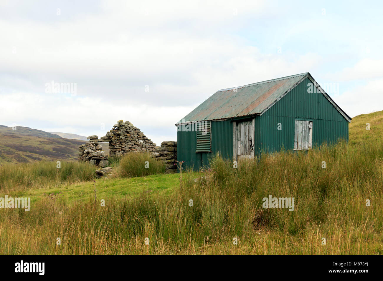 Ruins of an old crofters cottage and green shed with zinc roof  in the Scottish countryside Stock Photo