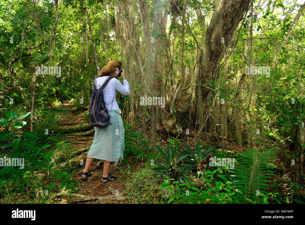 Relaxing tourist on the trekking in the jungle on Dominican Republic. Forest of the Del Este national park close the capital city Santo Domingo Stock Photo