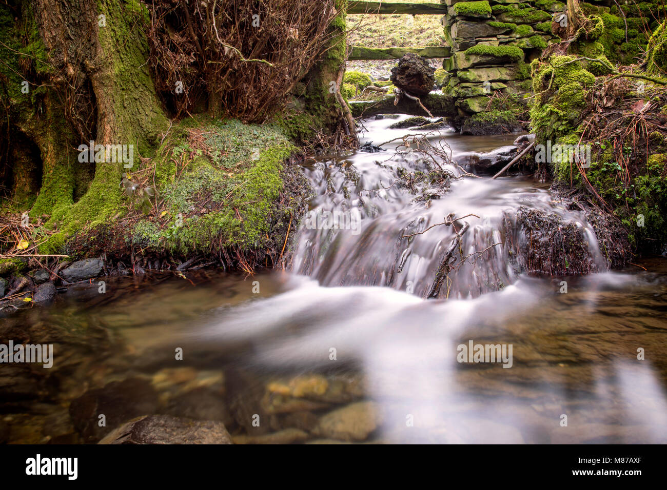 Otley Beck runs down from Lowick Common into the Crake Valley with small springs and streams such as this adding to it's volume as it goes.   This par Stock Photo