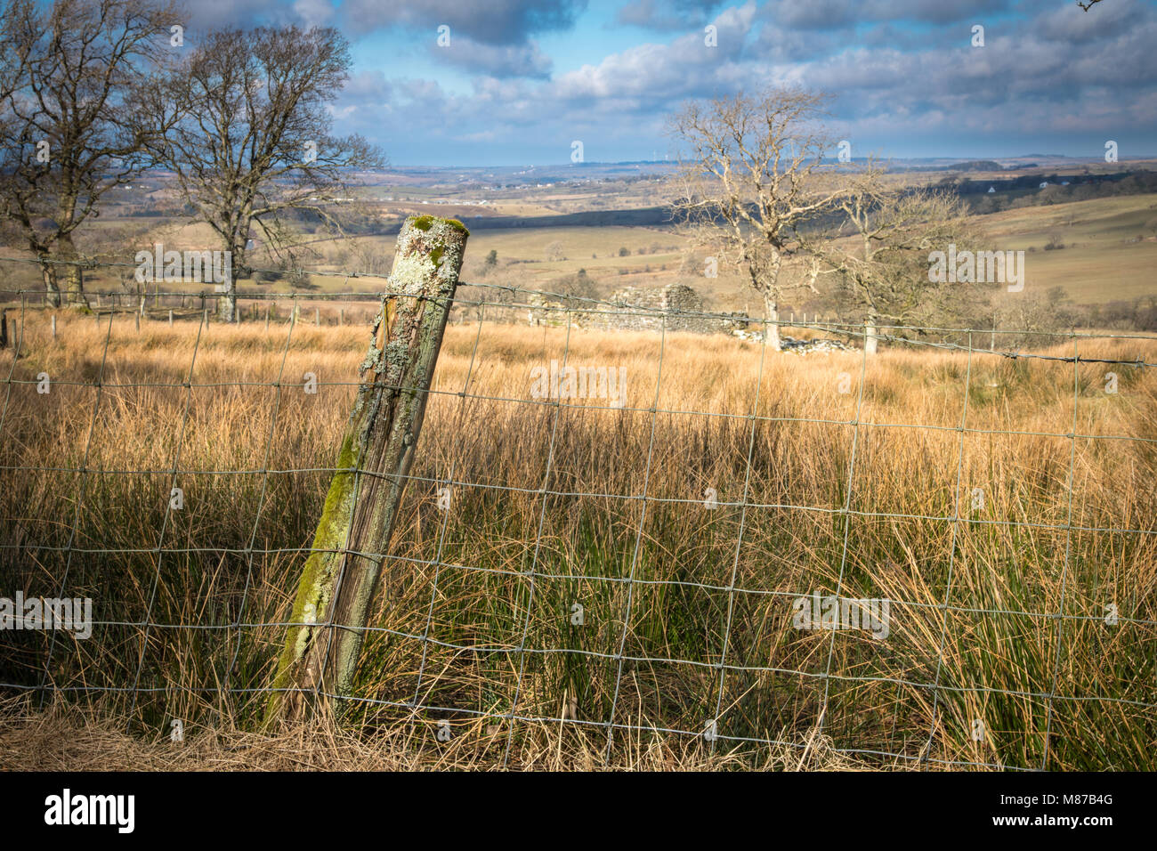An old fence post covered in lichen near Lamplugh Green in the North Lakes. Stock Photo