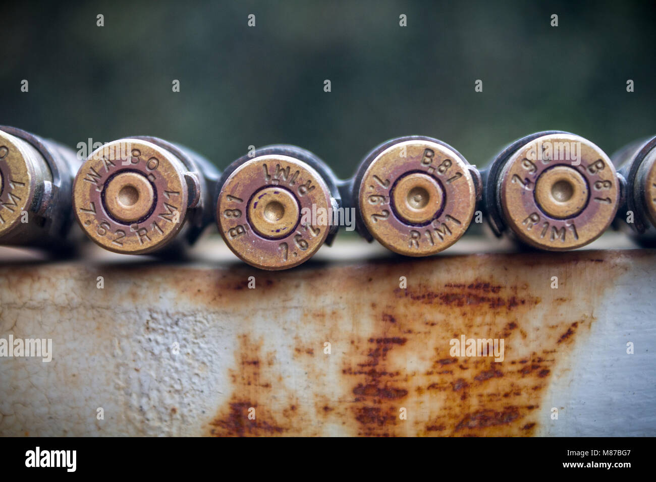 Bullets From Behind Attached on Belt Stock Photo