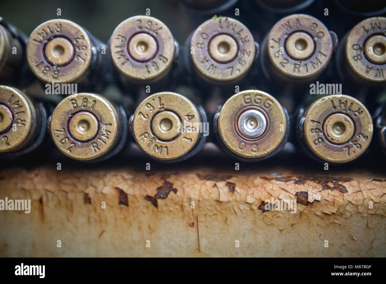 Bullet belt back Trigger Point Stock Photo