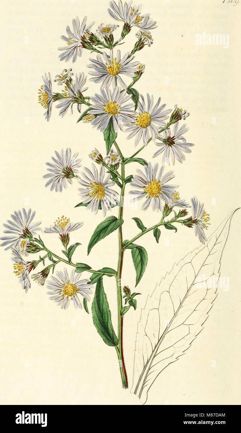 This botanical register from 1829-1847 provides detailed illustrations ...