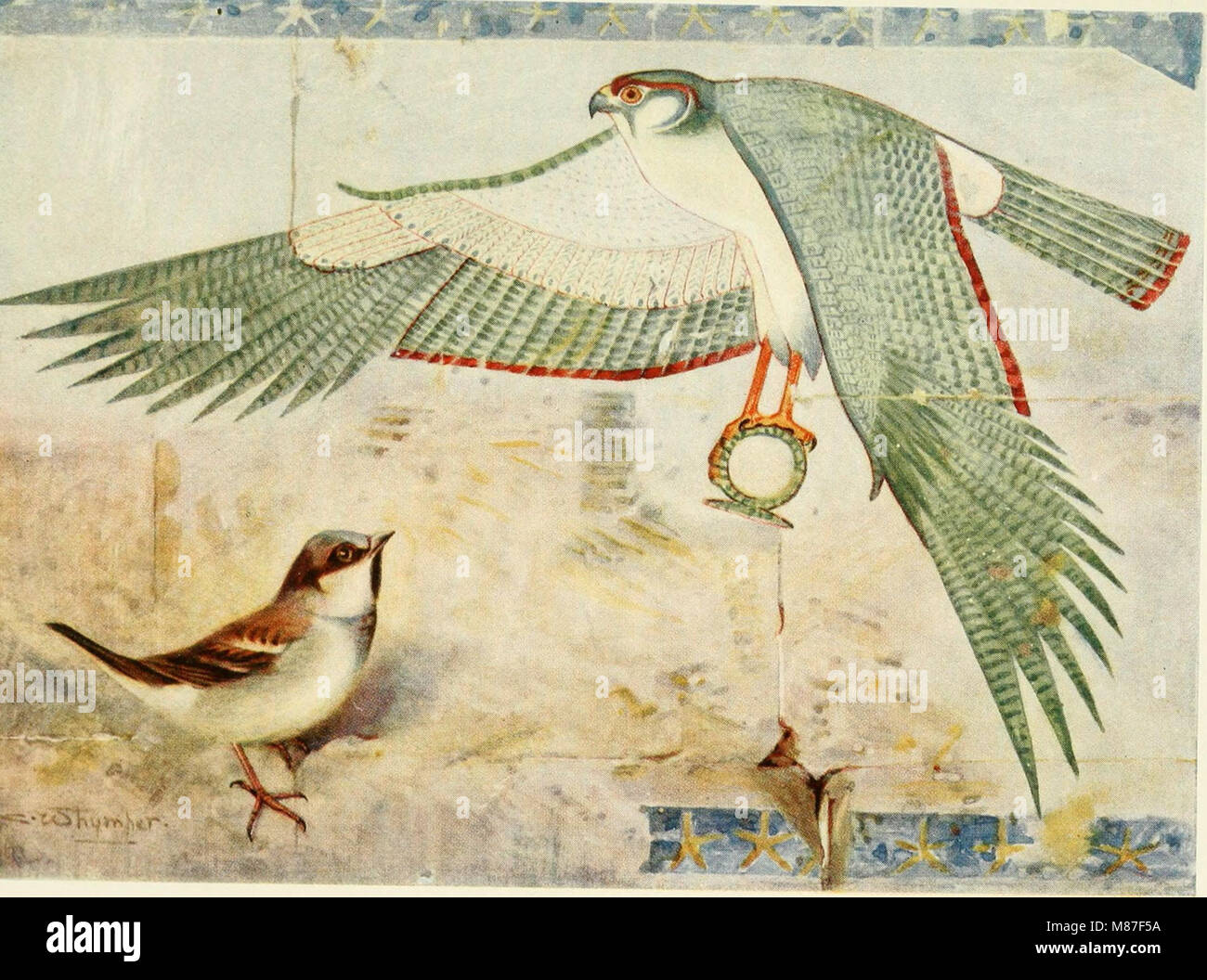Egyptian birds for the most part seen in the Nile Valley (1909