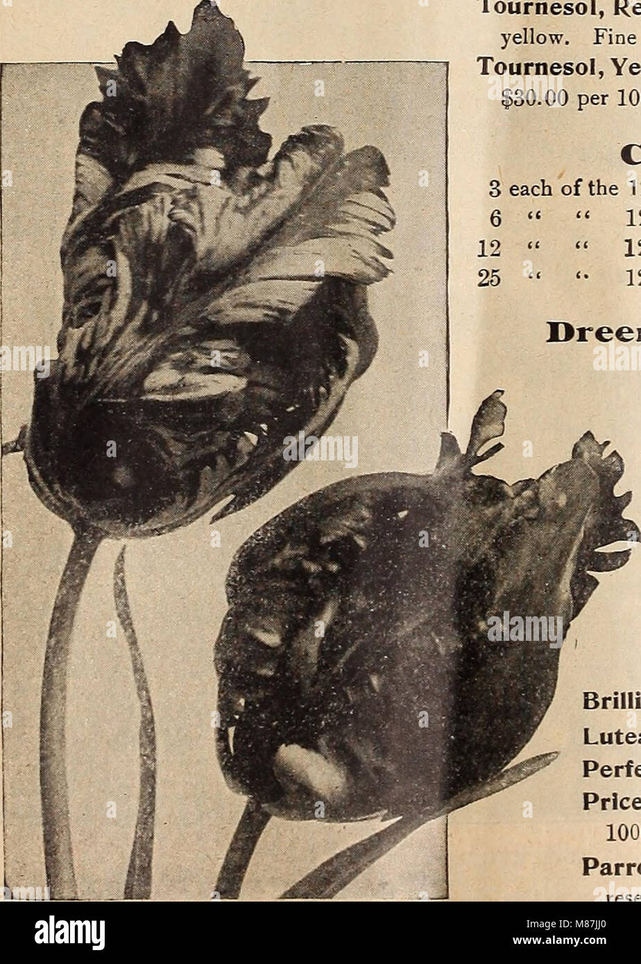 The 1918 Dreer’s Autumn Catalogue is a gardening and seed catalog